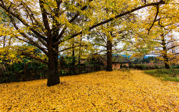 桂林旅游攻略最值得一看的景点,桂林旅游攻略1天跟团价格