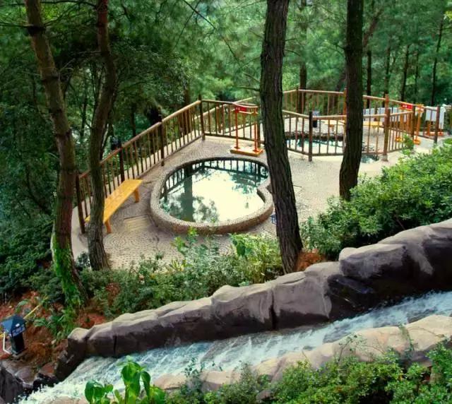 生态农业创业项目分析,休闲农业创业的案例与分析