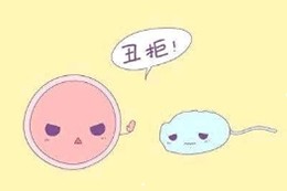 从精子质量可以看出肾的好坏吗,高质量男性精子状态