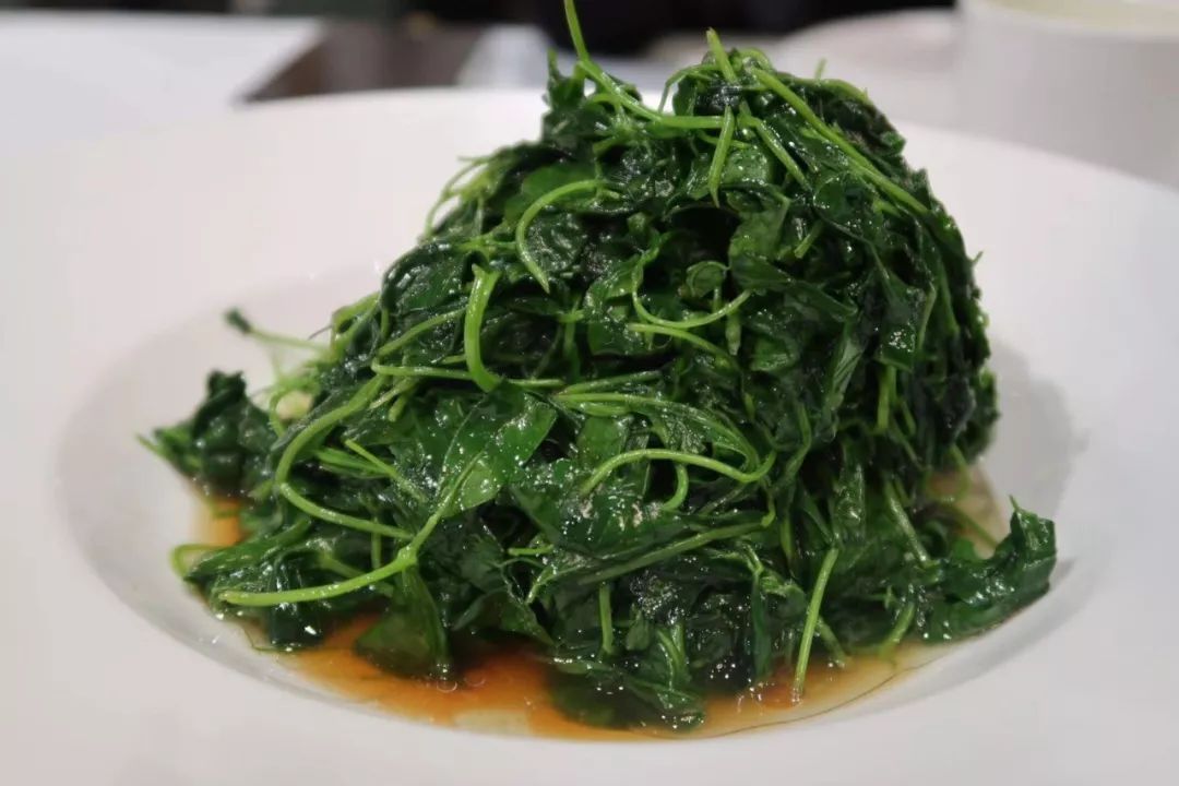 魔都网红马路视频,魔都值得散步的马路