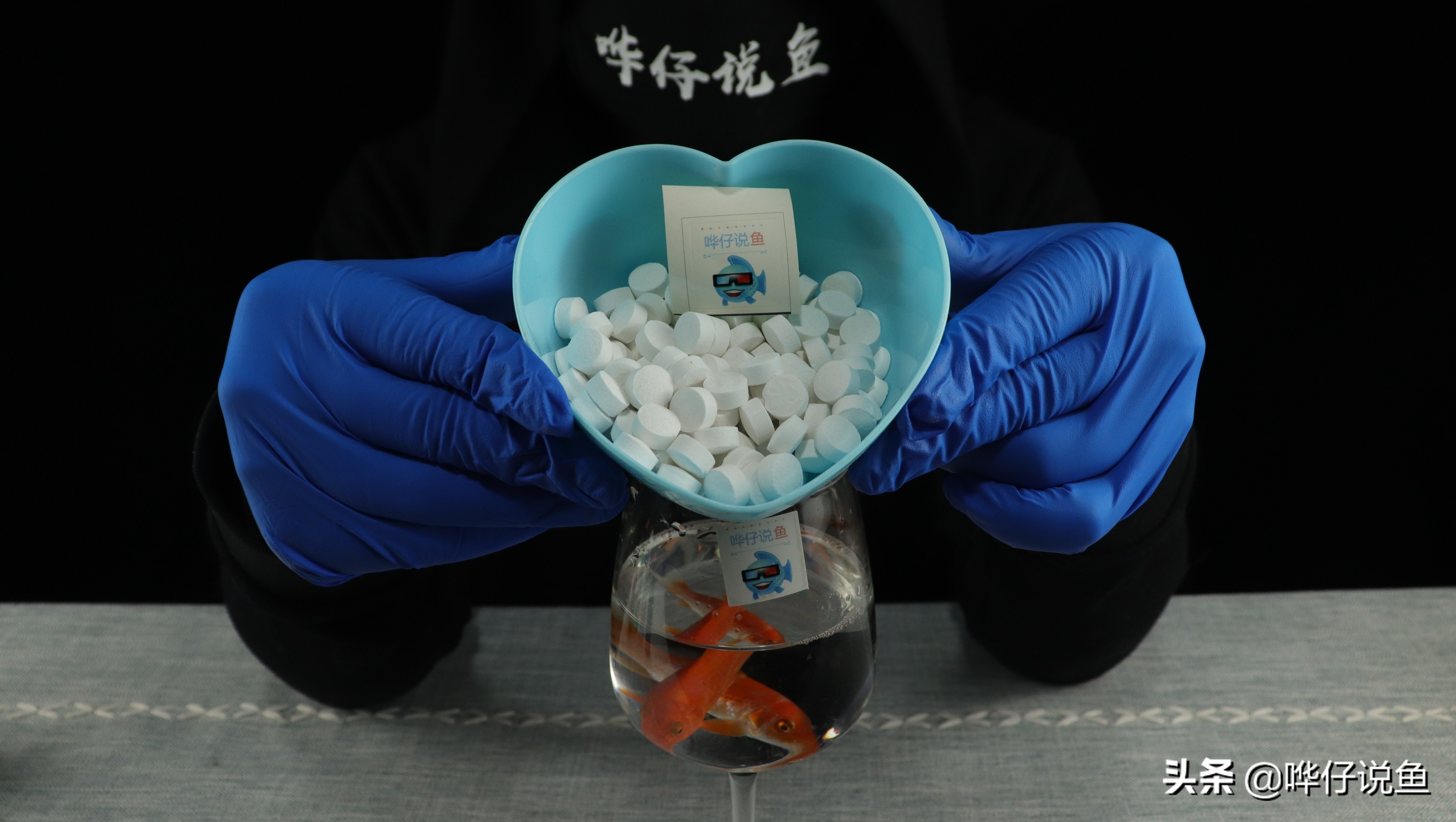 鱼缸消毒的方法和注意事项,怎样给鱼缸消毒最好最干净