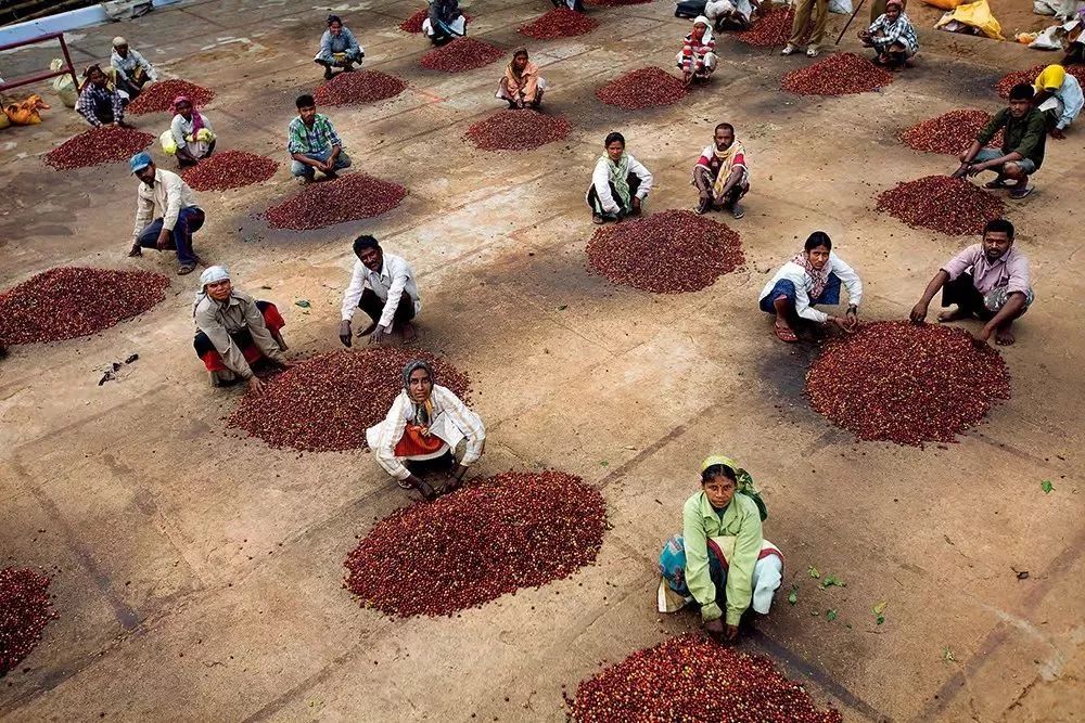 一般咖啡有哪几种咖啡,常见的十种咖啡