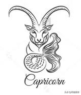 12星座艺术品味,十二星座品味特点