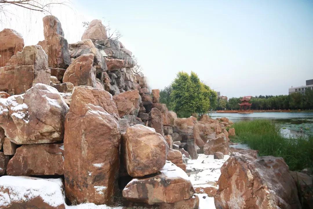 辽宁中医药大学杏林学院有独卫吗,辽宁中医药大学杏林学院属于3+2吗