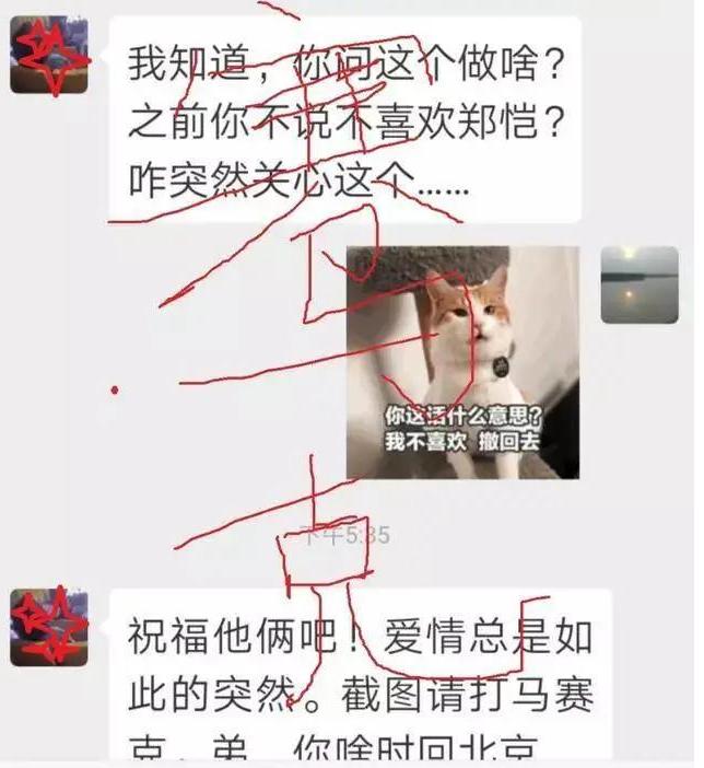 郑恺绯闻事件是真的吗,郑恺和郑恺苗苗
