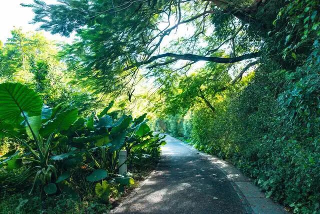 深圳免费公园哪里最好啊,深圳十大免费公园景点大全