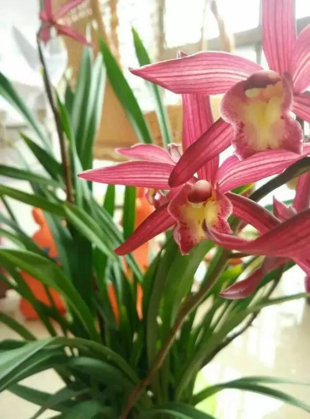 中国历朝历代人口统计表,中国历朝历代的顺序怎么记