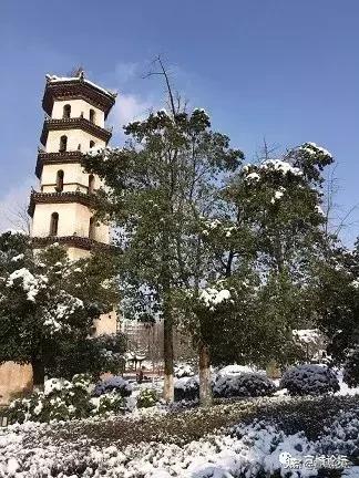 2020安徽宿州大雪暴雪,刚刚宣城发布暴雪预警