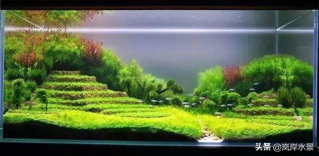 岚岸水景鱼缸,岚岸水景设计加盟