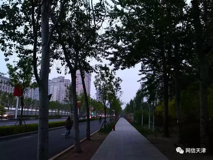 【津门里巷】天津变漂亮了