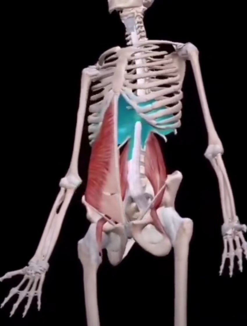 太极拳笔记图片,太极拳练功札记