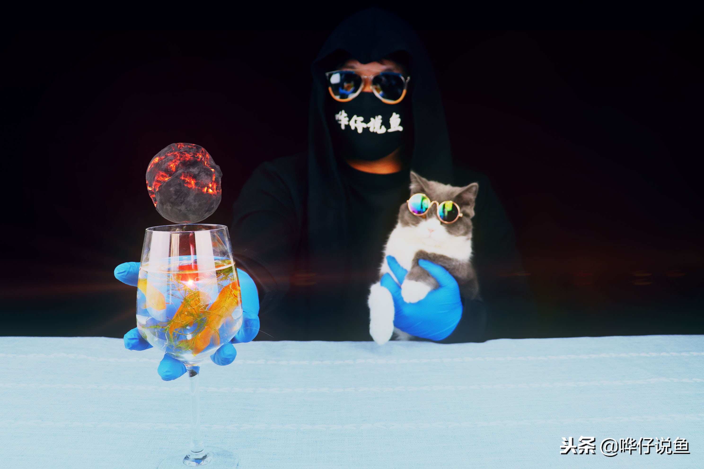 观赏鱼排在前10名的冠军鱼,盘点十大观赏鱼