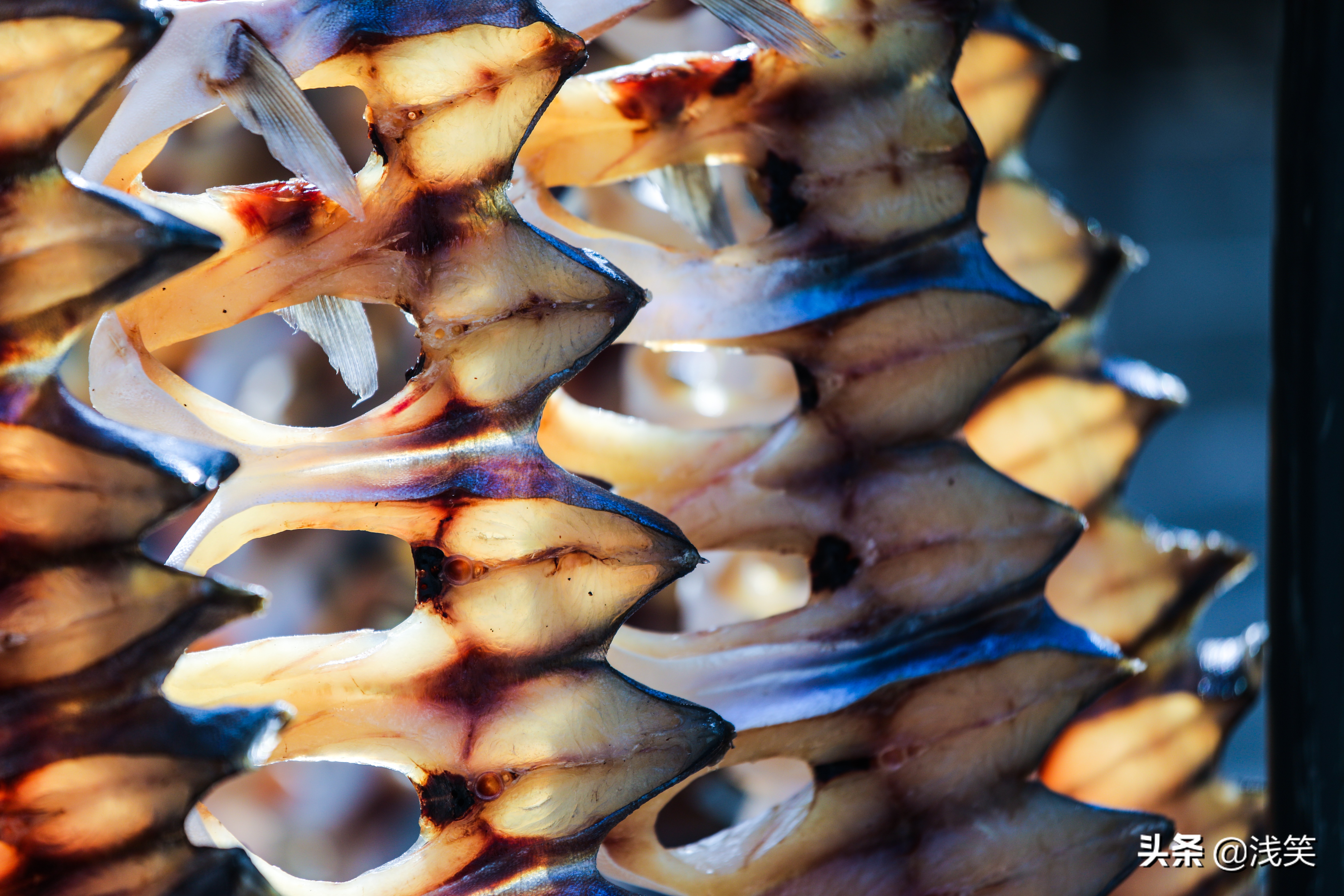 要看懂*江阳**，请走进渔村，这两个地方有意思