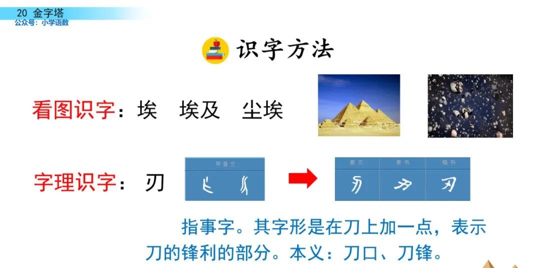 部编版五年级下册语文金字塔教案,语文书五年级下册第20课课后练习