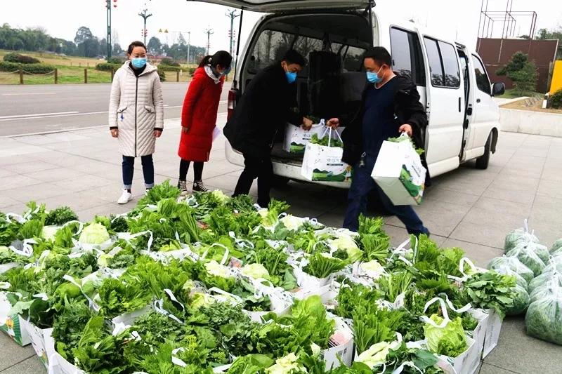 1块1斤！10块1袋！新津这支蔬菜“帮销队”你要加入吗？