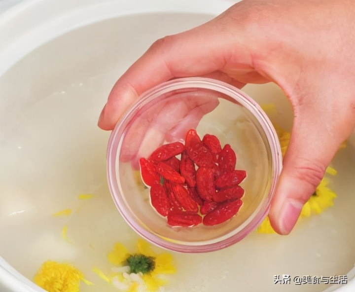 菊花雪梨茶生津润燥,菊花雪梨茶用什么菊花