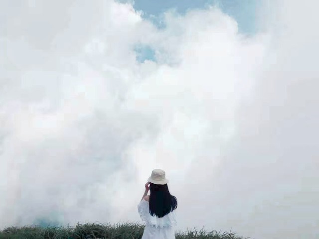 忘了来时的路新歌曲,忘了来时的路忘了最初的梦想