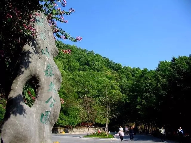 珠海周边游玩景点推荐,珠海免费自驾游必去12个景点