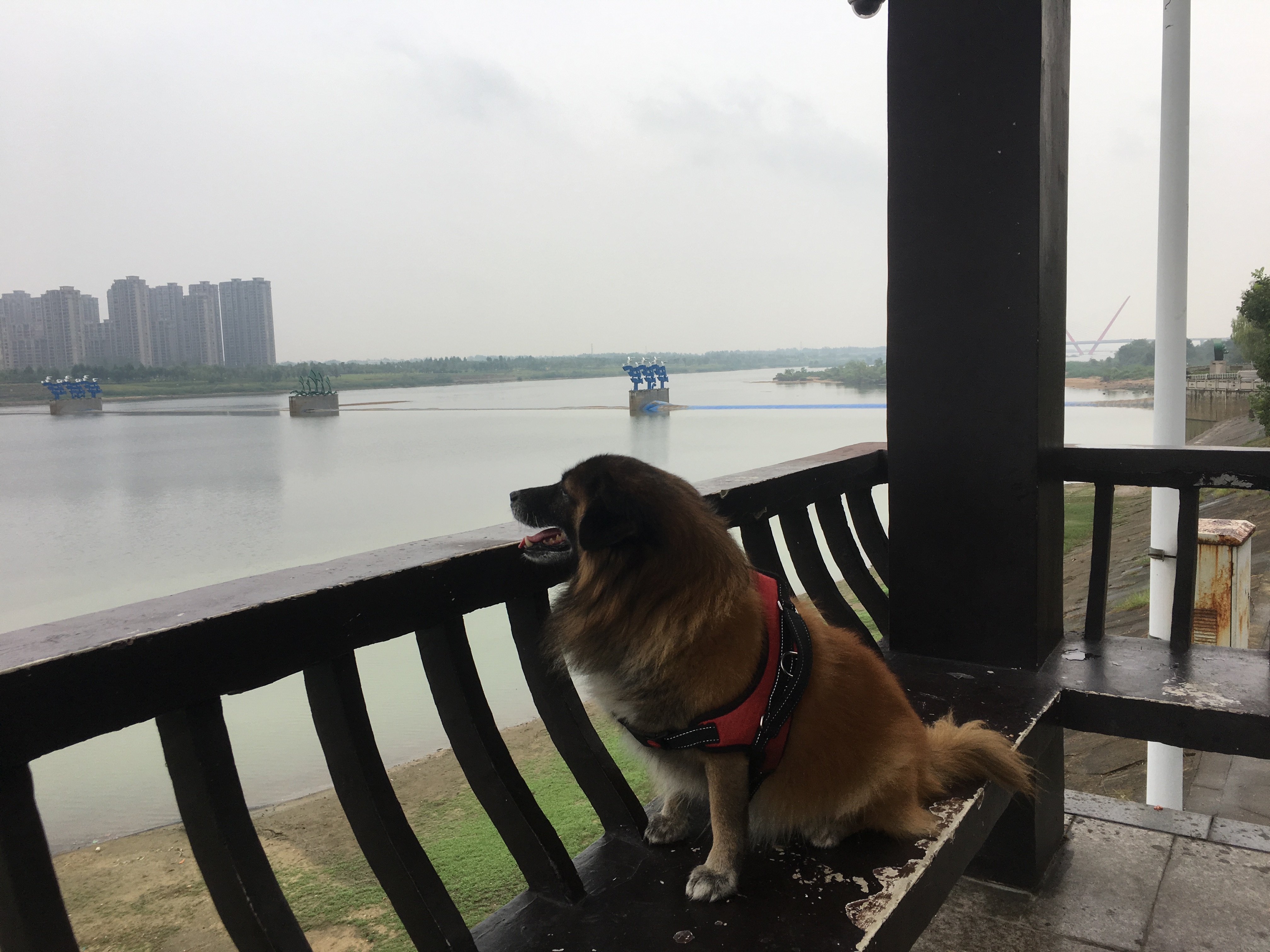 中国量子技术最大突破,量子探查机有用吗