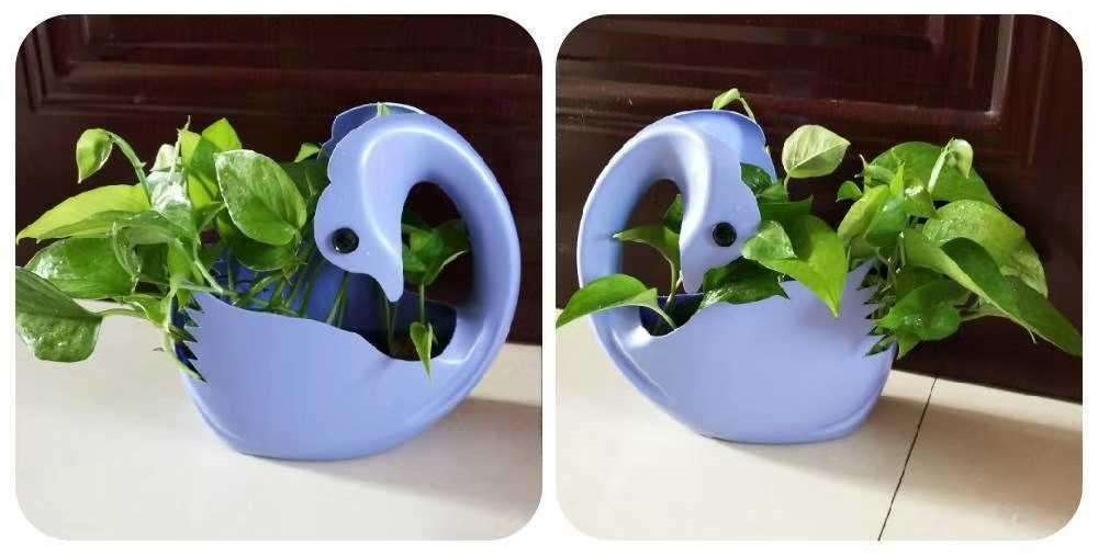 粉色洗衣液瓶子做花盆教程视频,洗衣液瓶子做的花盆适合养什么花