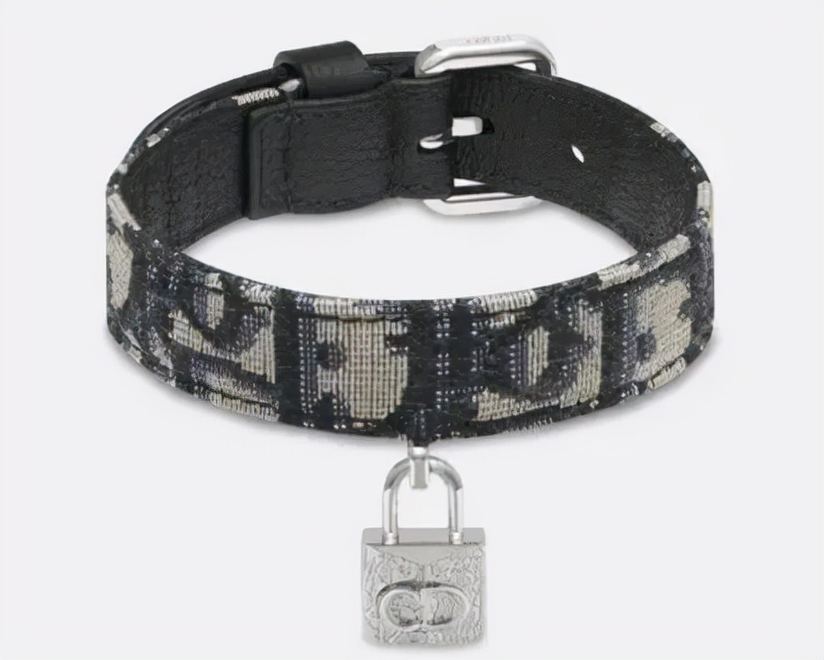 dior在法文中的含义,dior在法国怎么念