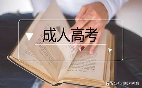 成人专升本政治选择题及答案,成考政治专升本试题及答案