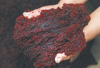 畜禽粪便废弃物处理新技术,红虫垃圾处理方法