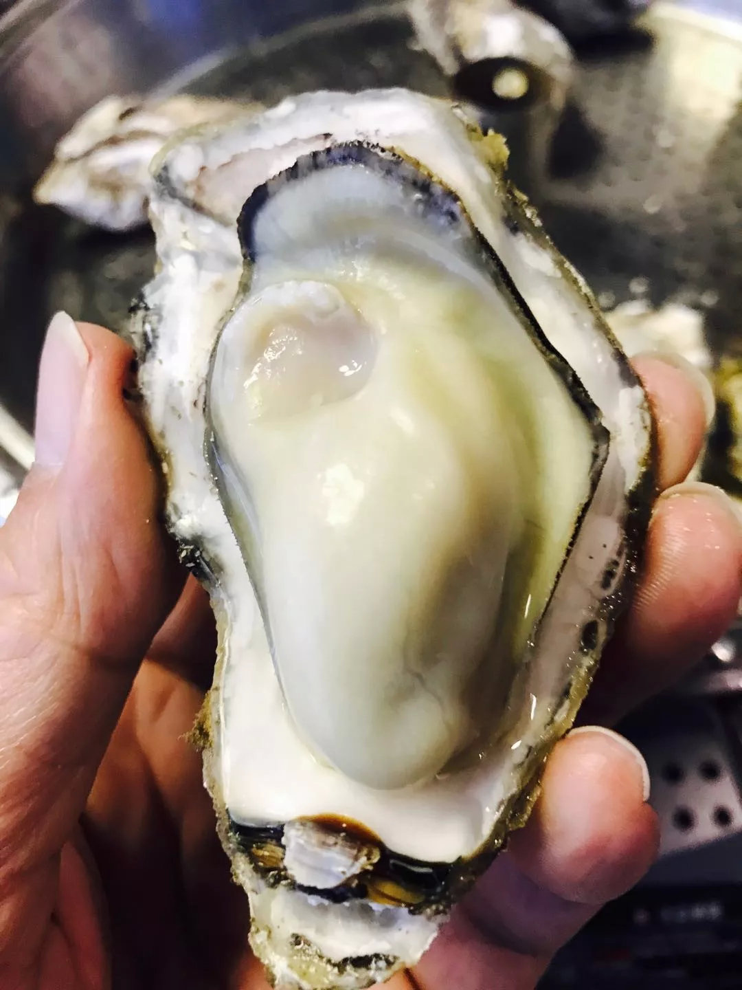 鲜嫩多汁网红的高压锅生蚝,蒜蓉生蚝罐头即食乳山生蚝