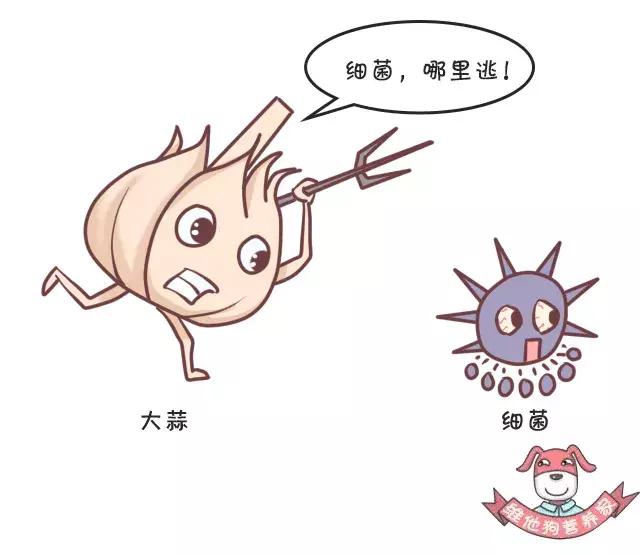 香菜、香椿……这些有味道的蔬菜，吃了有什么好处？