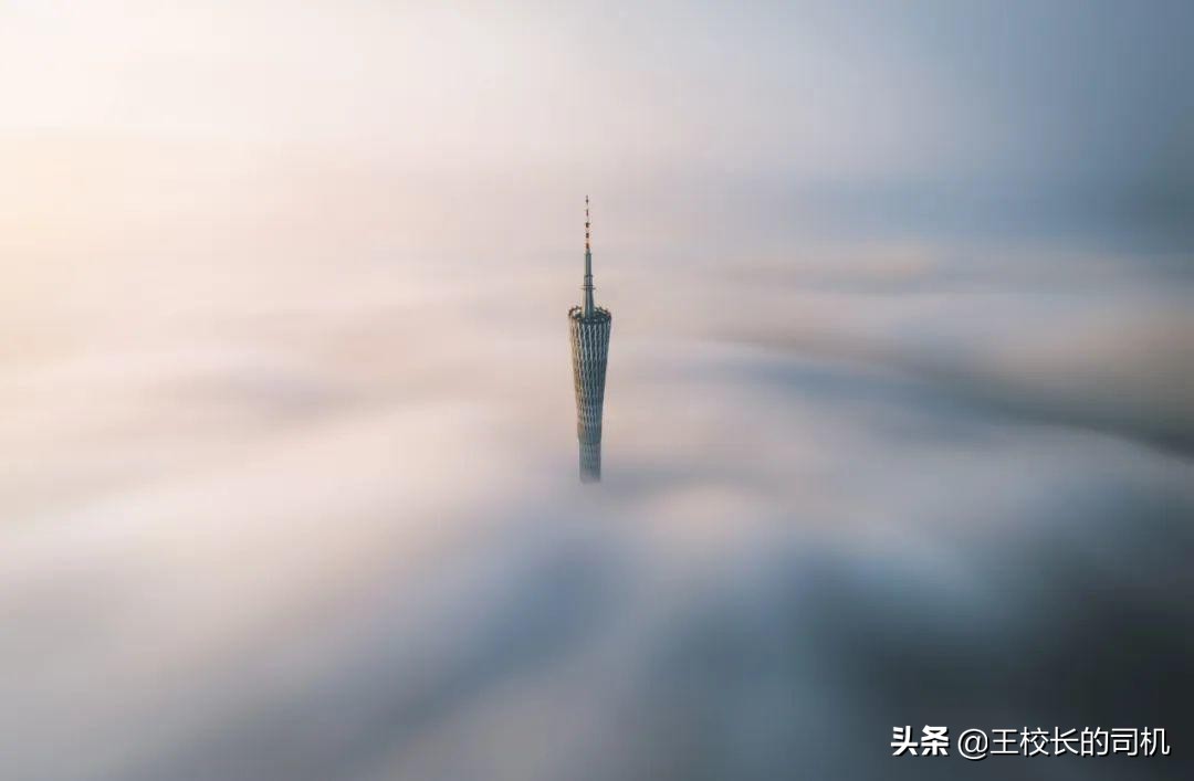 这12个网站，怎么可以这么好看