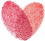 宏光驾校双十一，狂欢只为你