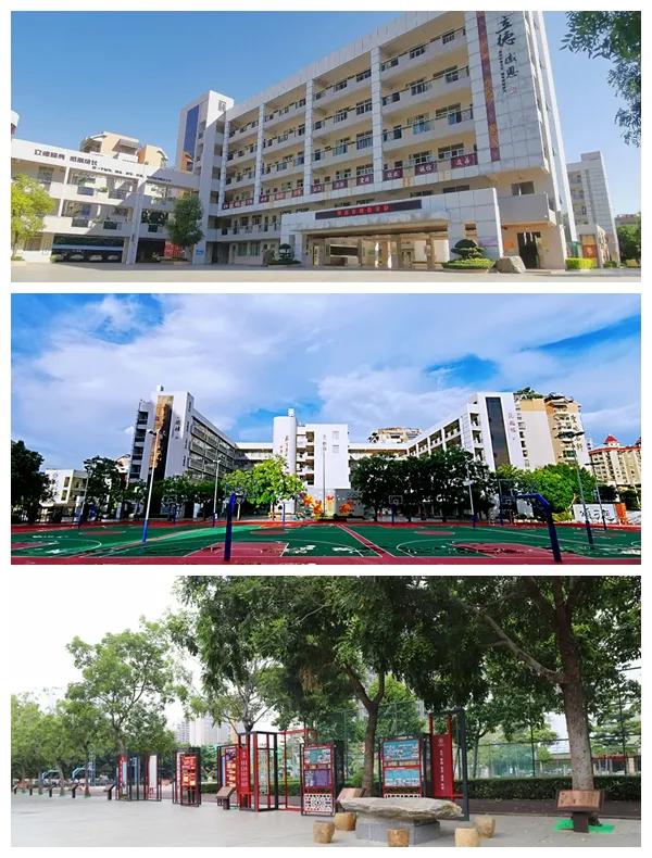 端州有几所中学,肇庆端州十大最好的小学