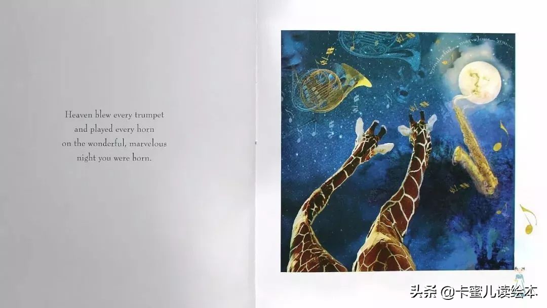 英语绘本有声故事一千零一夜,英文有声绘本adayinthesun