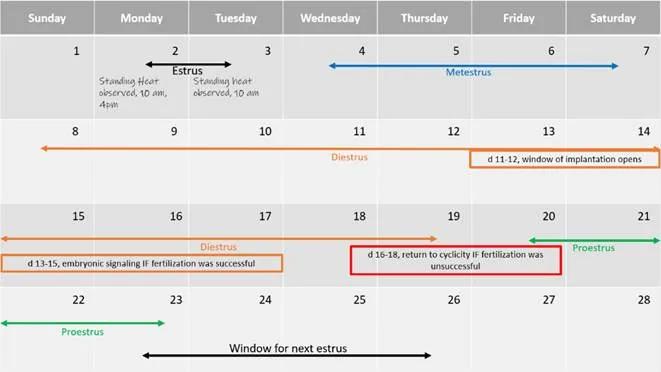 上海卡苏生物有限公司,上海卡苏生物
