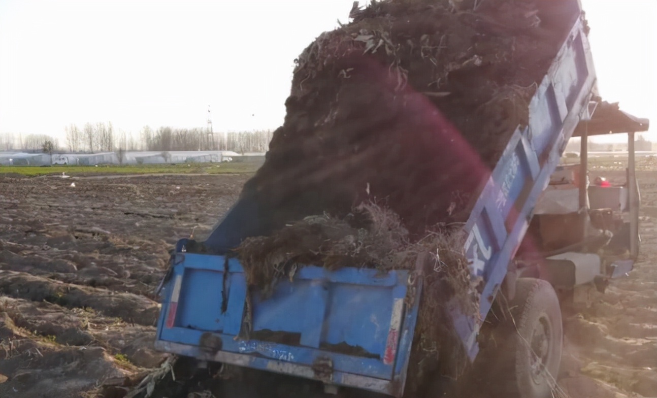 粪肥的正确使用方法和注意事项,哪种粪肥养分最高你一定弄错了吧