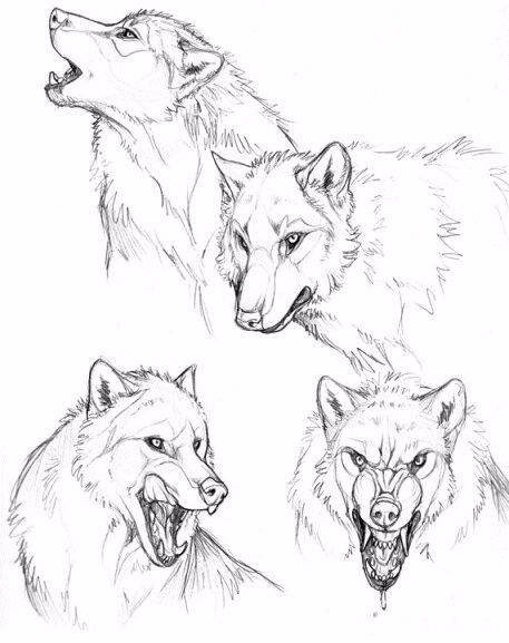 简笔画人物教程大全零基础成人,1000个适合零基础的简笔画教程