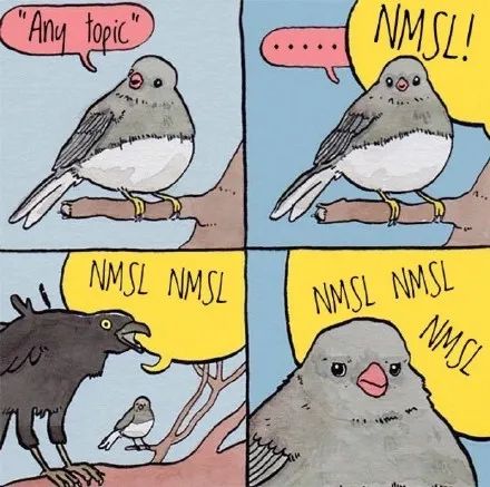 互联网吵架高频词,中国互联网吵架词汇