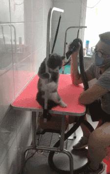 瀹夊叏鏂归潰榧犳爣,浣犲畨鍏ㄥ悧鍚屾榧犳爣