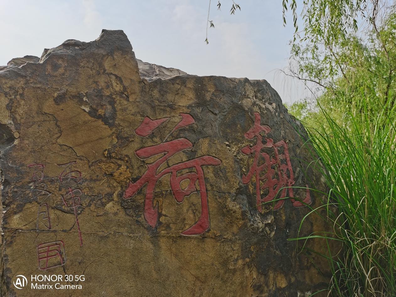 光荣30怎么样实际测评来揭晓答案,光荣30测评值得入手吗