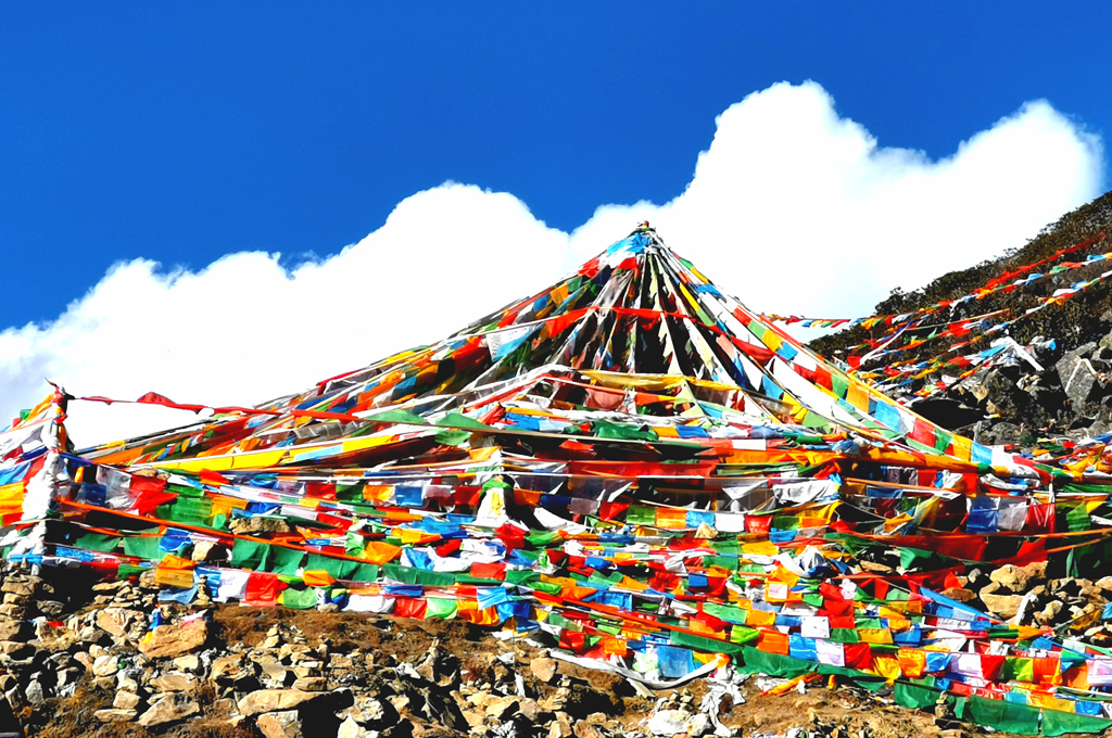 即使在路上走走，*藏西**风情也能让你流连忘返