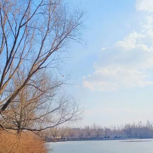 辽宁省普通高等院校,辽宁省沈阳本科大学