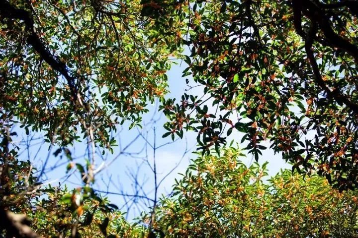 家在北仑,我有一个家北仑