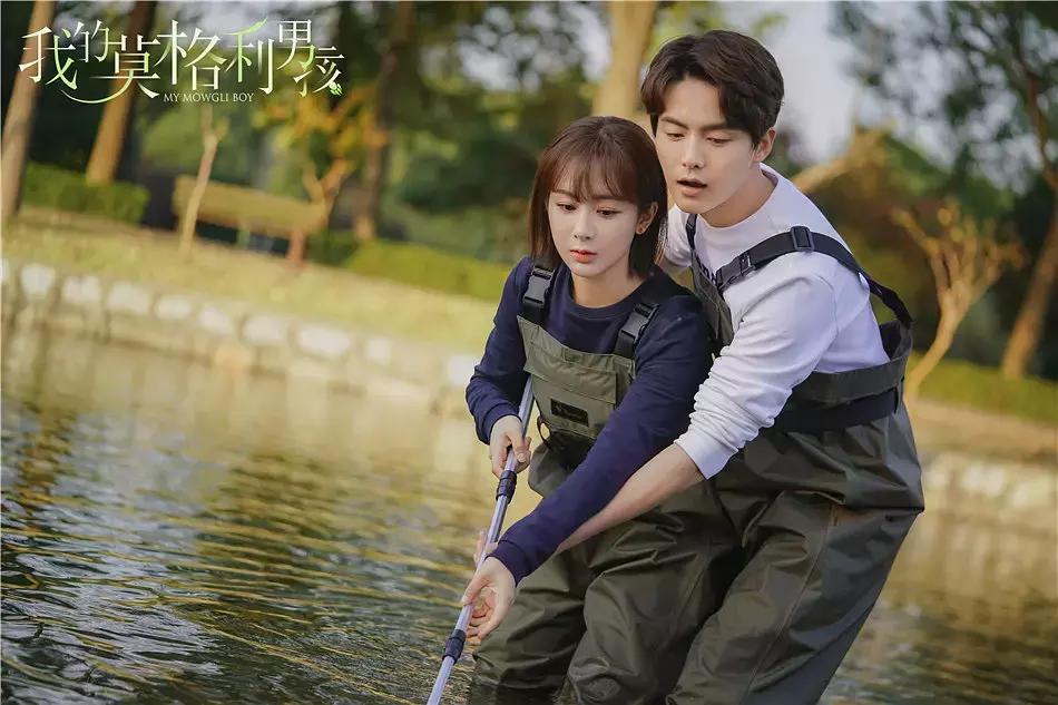 杨紫再次重播新剧,杨紫最新新剧预告