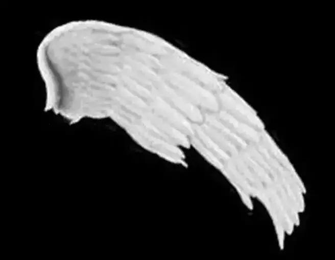 nike商标是什么字体,nike标志logo都有什么样的