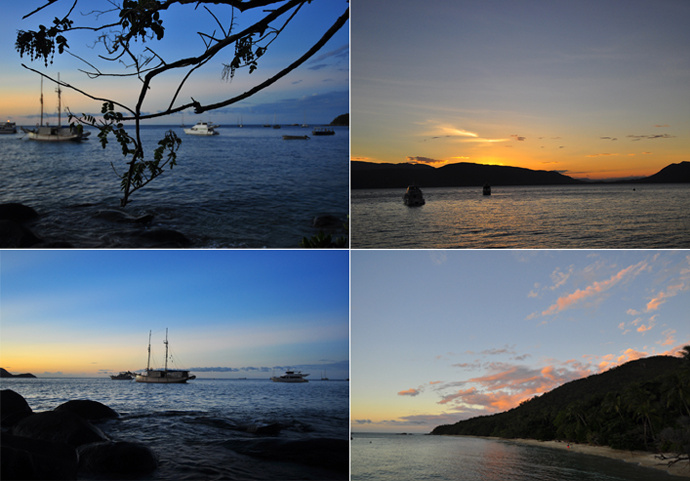 全民热遗｜大堡礁上有个翡翠岛，绝美好玩，还是海龟康复中心