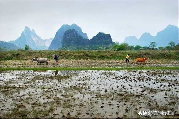 《江城子·田园春耕》看苍山茫茫，黄牛脚浅，写不尽对田园的赞美