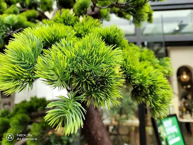 nex3s无界瀑布屏让眼界全面升级,nex3s5g版拍照评测