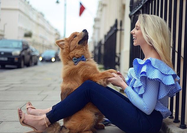 你知道该如何照顾发情的狗狗吗？快来学，让你“懂”你家狗