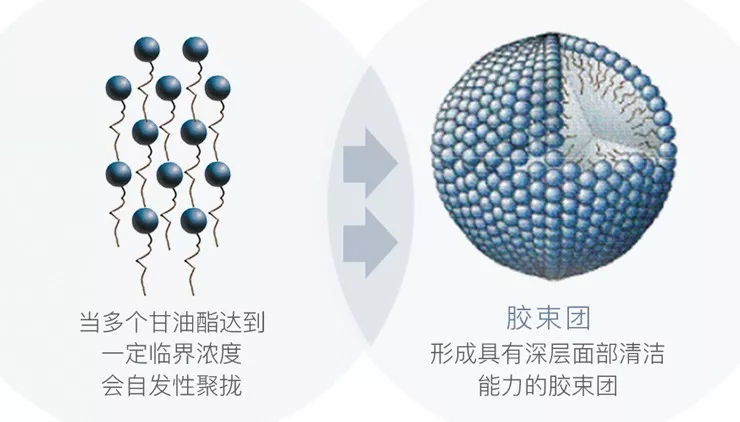 贝德玛究竟有多少个版本,贝德玛有什么版本