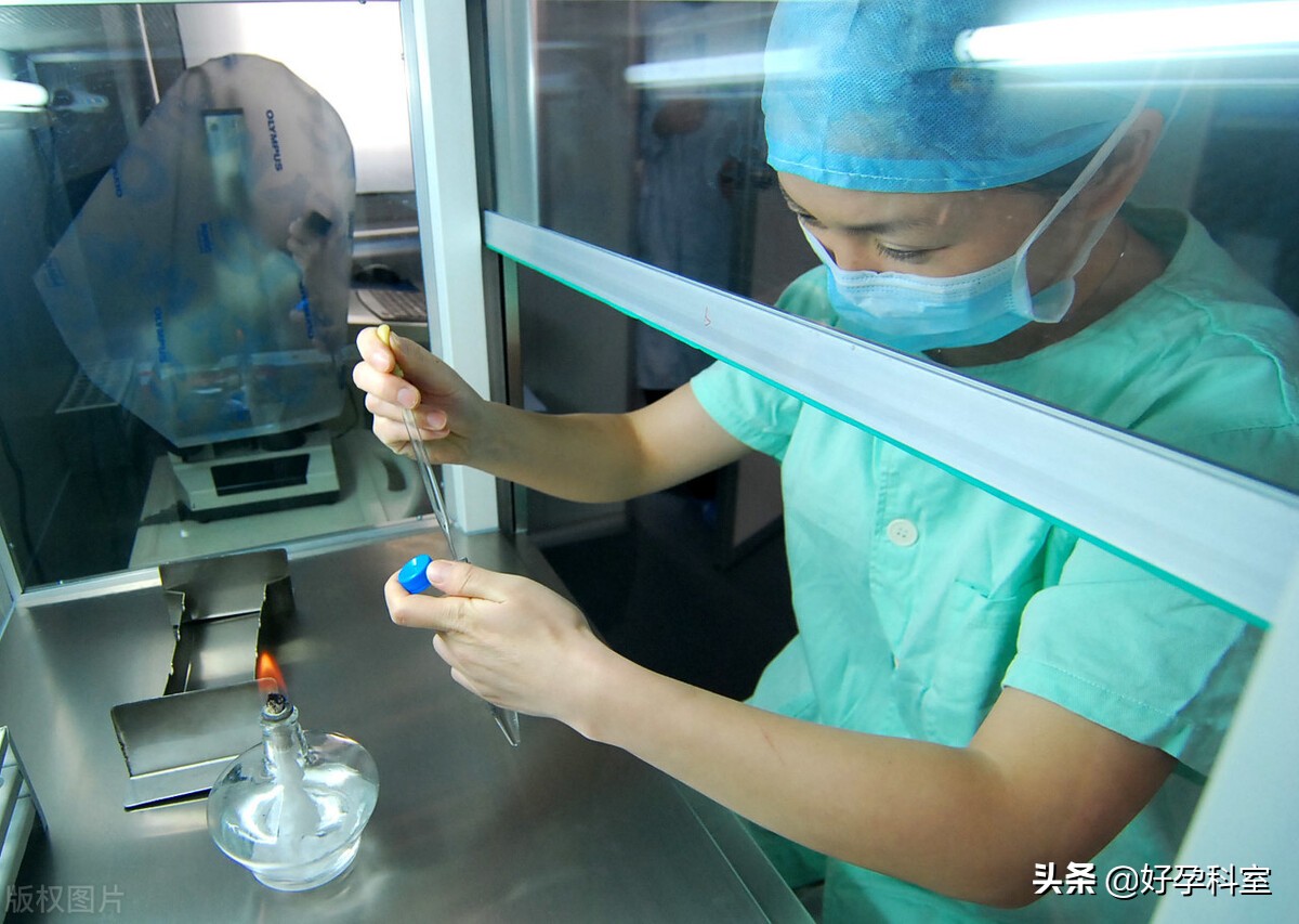 人工授精为什么能够提高成功率,人工授精成功秘诀